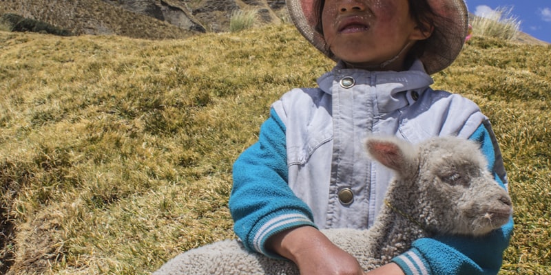 NBA球队分析 - 洛杉矶湖人队更衣室与战术板